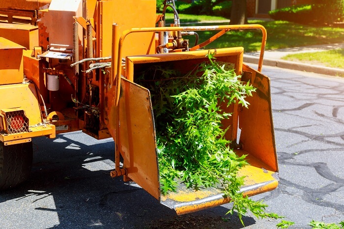 Wood chipper machine used for cutting trees